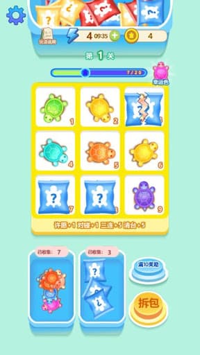 Turtle Blind Bag - Match Box